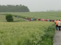 WT 2014 5