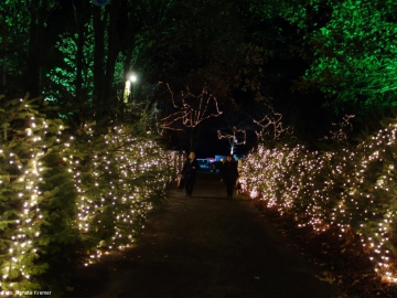 Lichtermeer