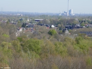 2025-04-08-11-42-05