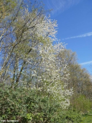 2025-04-08-12-20-25